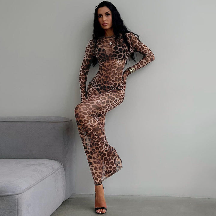 Leopard Print Sheer Mesh Bodycon Dress Long Sleeve Sexy Club Dress
