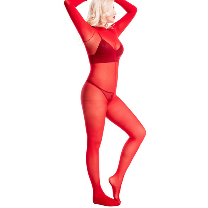 Sheer 3D Mesh Bodysuit Catsuit